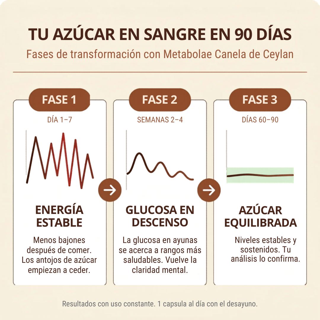 Canela de Ceilán 7200mg con Aceite MCT