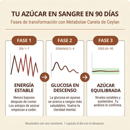 Canela de Ceilán 7200mg con Aceite MCT