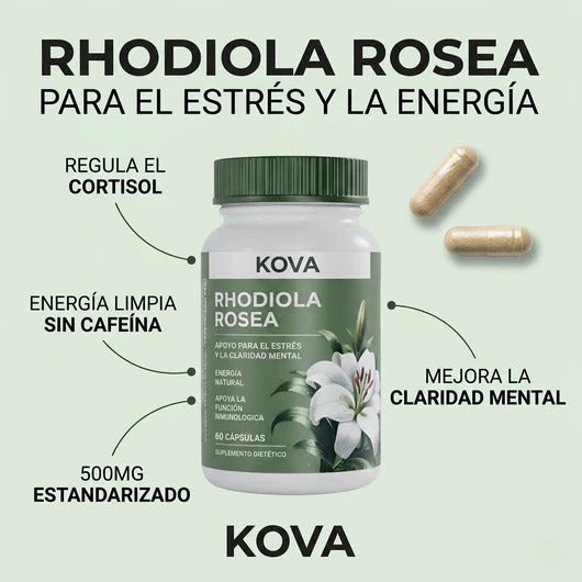 Rhodiola Rosea – Cortisol Alto. Energía Baja. Esto lo Cambia.