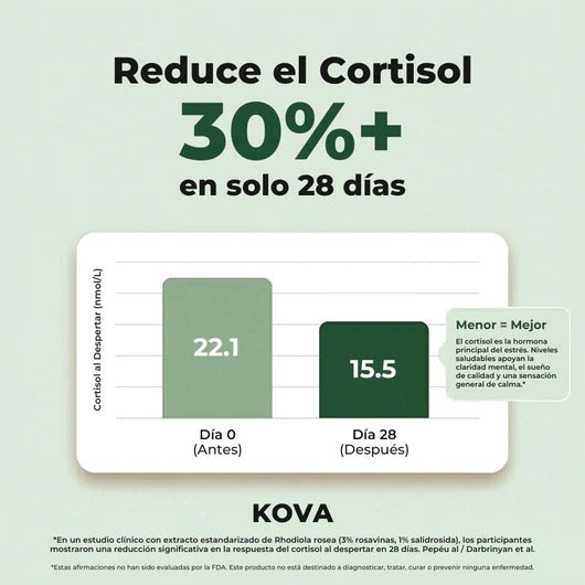 Rhodiola Rosea – Cortisol Alto. Energía Baja. Esto lo Cambia.