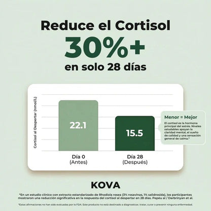 Rhodiola Rosea – Cortisol Alto. Energía Baja. Esto lo Cambia.