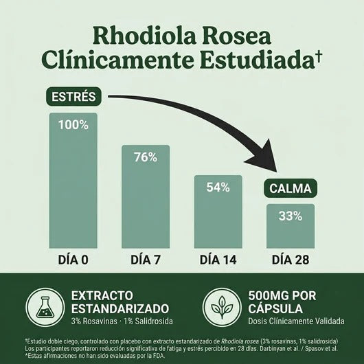 Rhodiola Rosea – Cortisol Alto. Energía Baja. Esto lo Cambia.